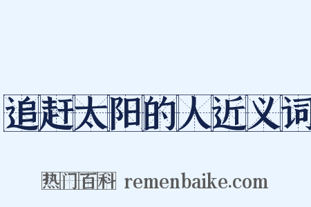 追赶太阳的人近义词是什么意思的图片